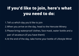 Hencote Vineyard