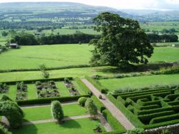 Bolton Castle Vineyard