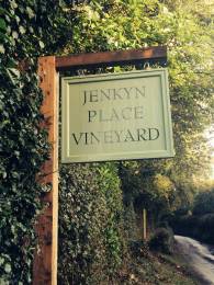 Jenkyn Place Vineyard