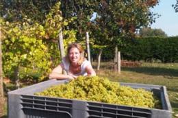 Giffords Hall Vineyard Giffords Hall Vineyard