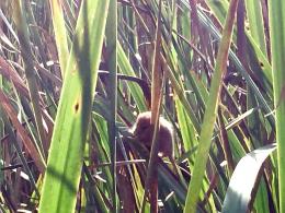 Off the Line Vineyard Off the Line Vineyard