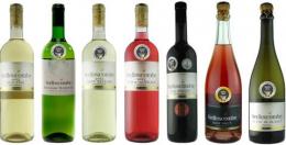 Sedlescombe Organic Vineyard Sedlescombe Organic Vineyard