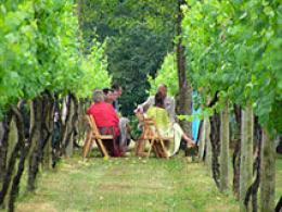 Setley Ridge Vineyard Setley Ridge Vineyard