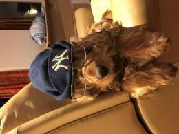 The Orchard Vineyard The Orchard Vineyard