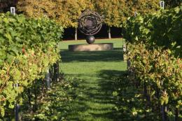 Southcott Vineyard