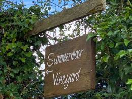 Quance Wines Summermoor Vineyard Quance Wines Summermoor Vineyard
