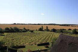 Thelnetham Vineyard (Suffolk Wine Co)