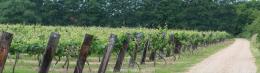 Valley Farm Vineyards Valley Farm Vineyards