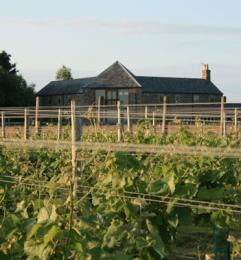 Laurel Vines Vineyard & Winery