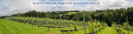 Venn Valley Vineyard Venn Valley Vineyard