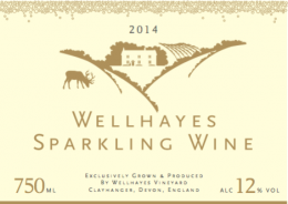 Wellhayes Vineyard Wellhayes Vineyard