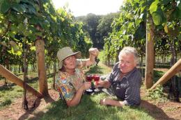 Lily Farm Vineyard Lily Farm Vineyard