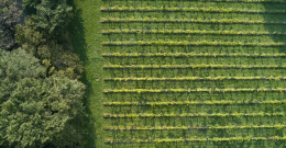 Whinyard Rocks Whinyard Rocks