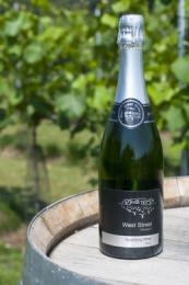 West Street Vineyard