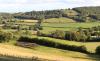 Hooperhayne Vineyard