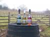 Ludlow Vineyard