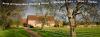 Bardfield Vineyard