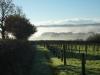 Coombe Head Meadow Vineyard