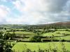 Dunkery Vineyard - Exmoor