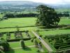 Bolton Castle Vineyard