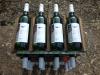 Wraxall Vineyard