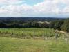 Maud Heath Vineyard