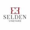 Selden Vineyard