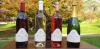 Winner Hill Vineyard