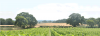 Woodchurch Wine Estate