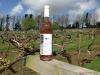 Wraxall Vineyard