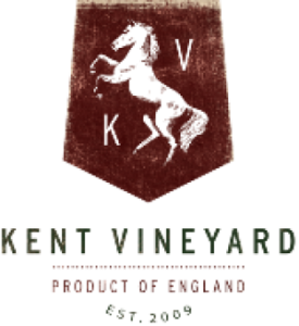 Kent Vineyard