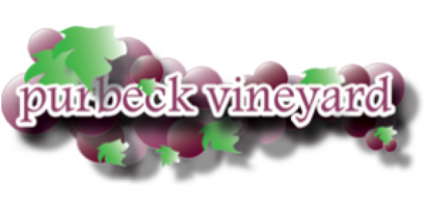 Purbeck Vineyard